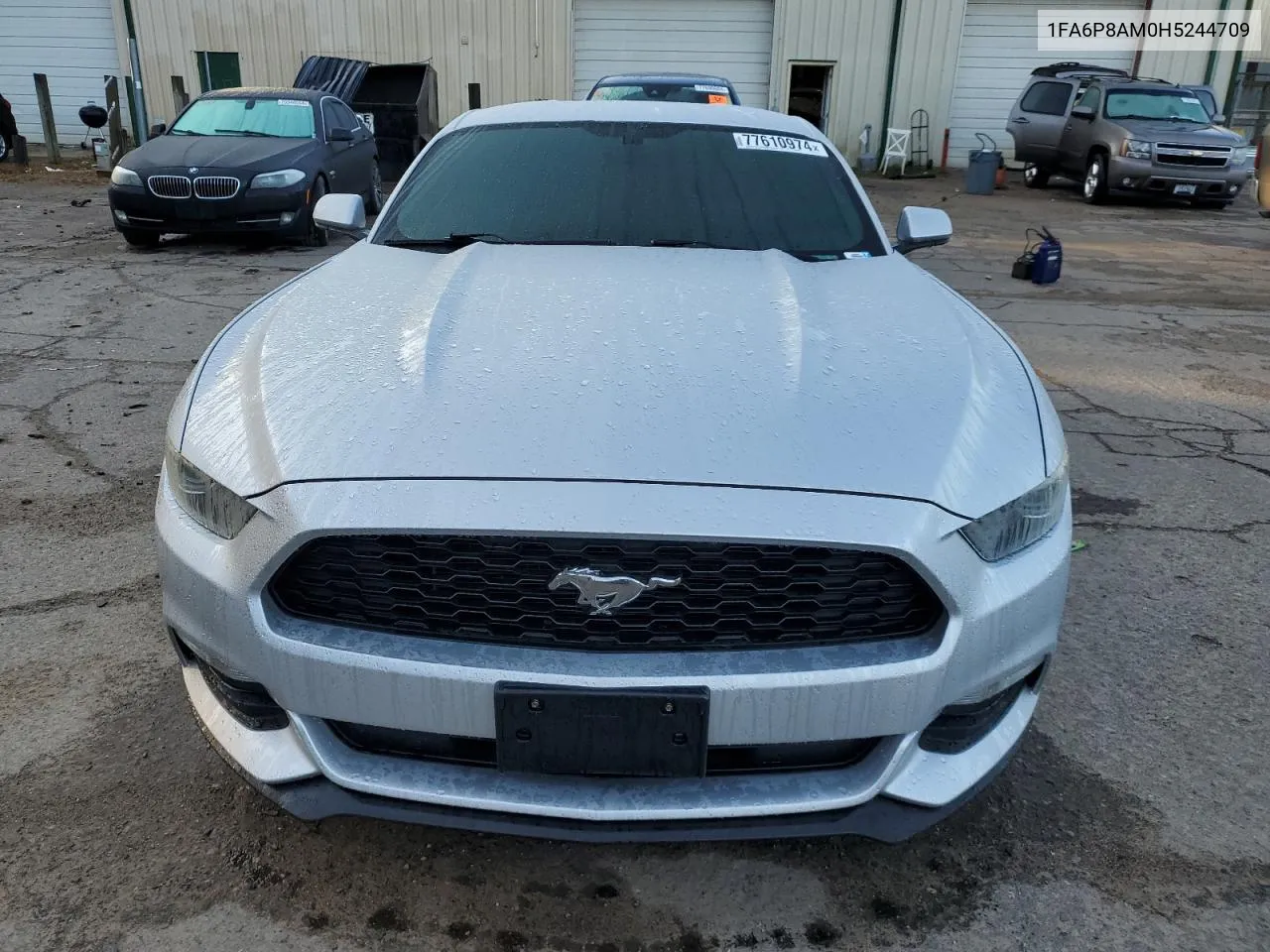 2017 Ford Mustang VIN: 1FA6P8AM0H5244709 Lot: 77610974