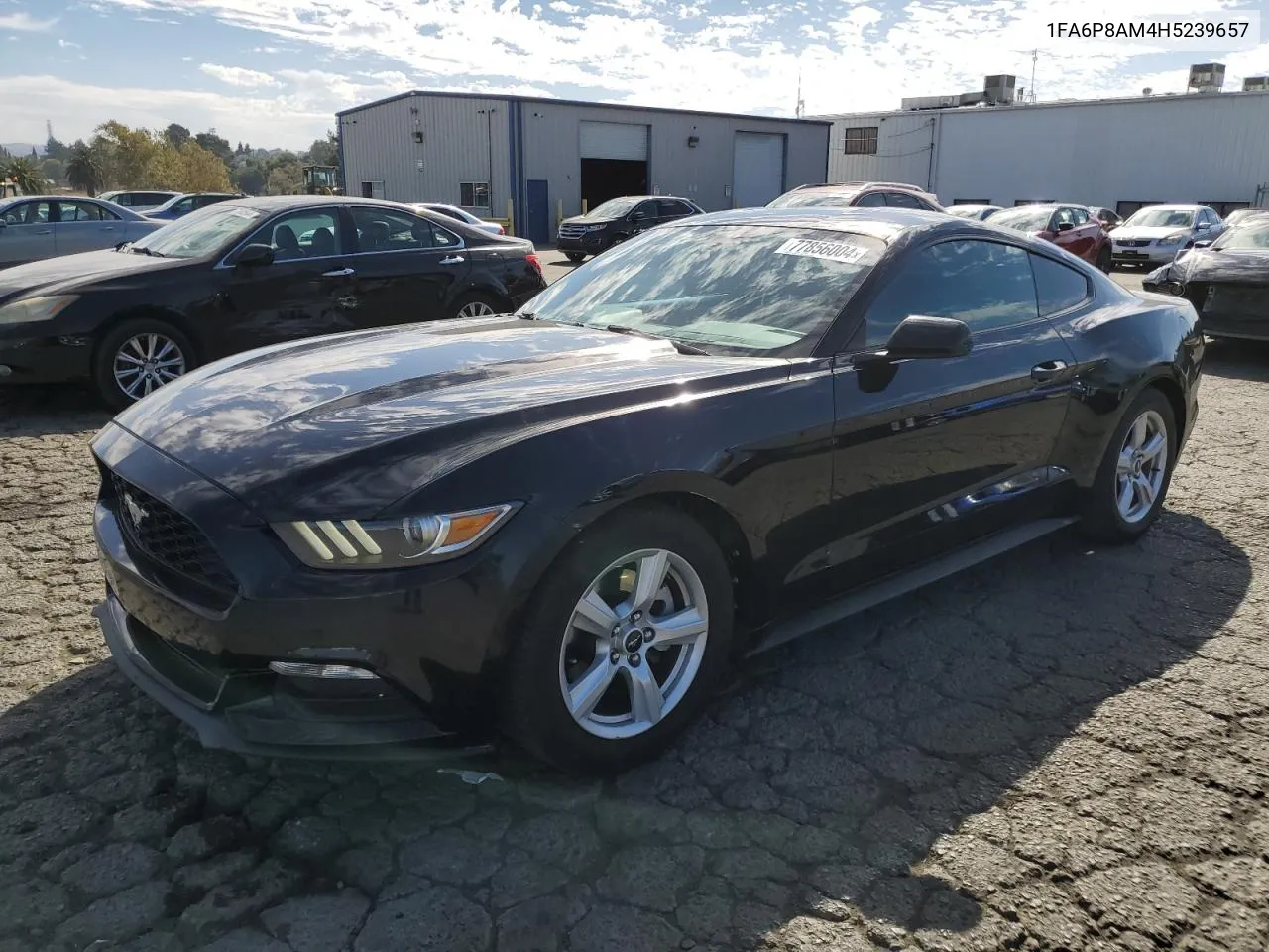 2017 Ford Mustang VIN: 1FA6P8AM4H5239657 Lot: 77856004