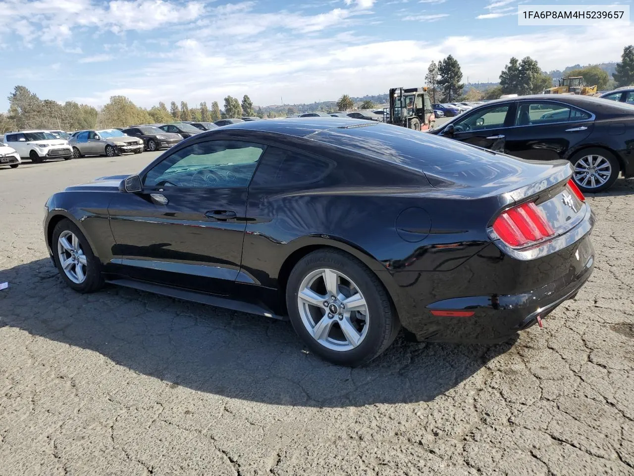 2017 Ford Mustang VIN: 1FA6P8AM4H5239657 Lot: 77856004