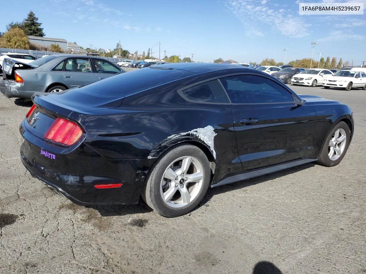 2017 Ford Mustang VIN: 1FA6P8AM4H5239657 Lot: 77856004