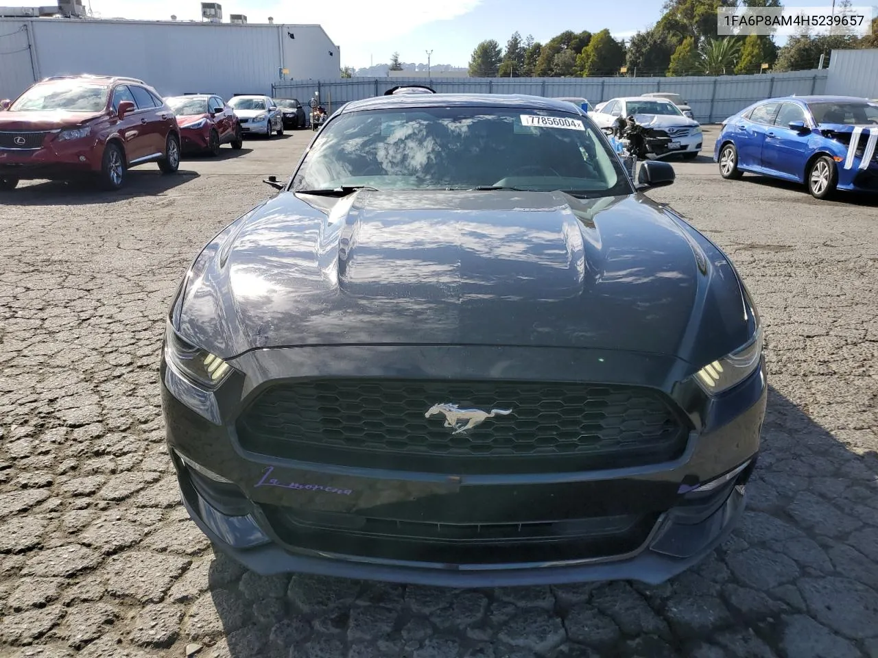 2017 Ford Mustang VIN: 1FA6P8AM4H5239657 Lot: 77856004