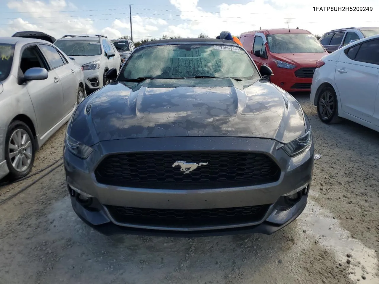 2017 Ford Mustang VIN: 1FATP8UH2H5209249 Lot: 77909344