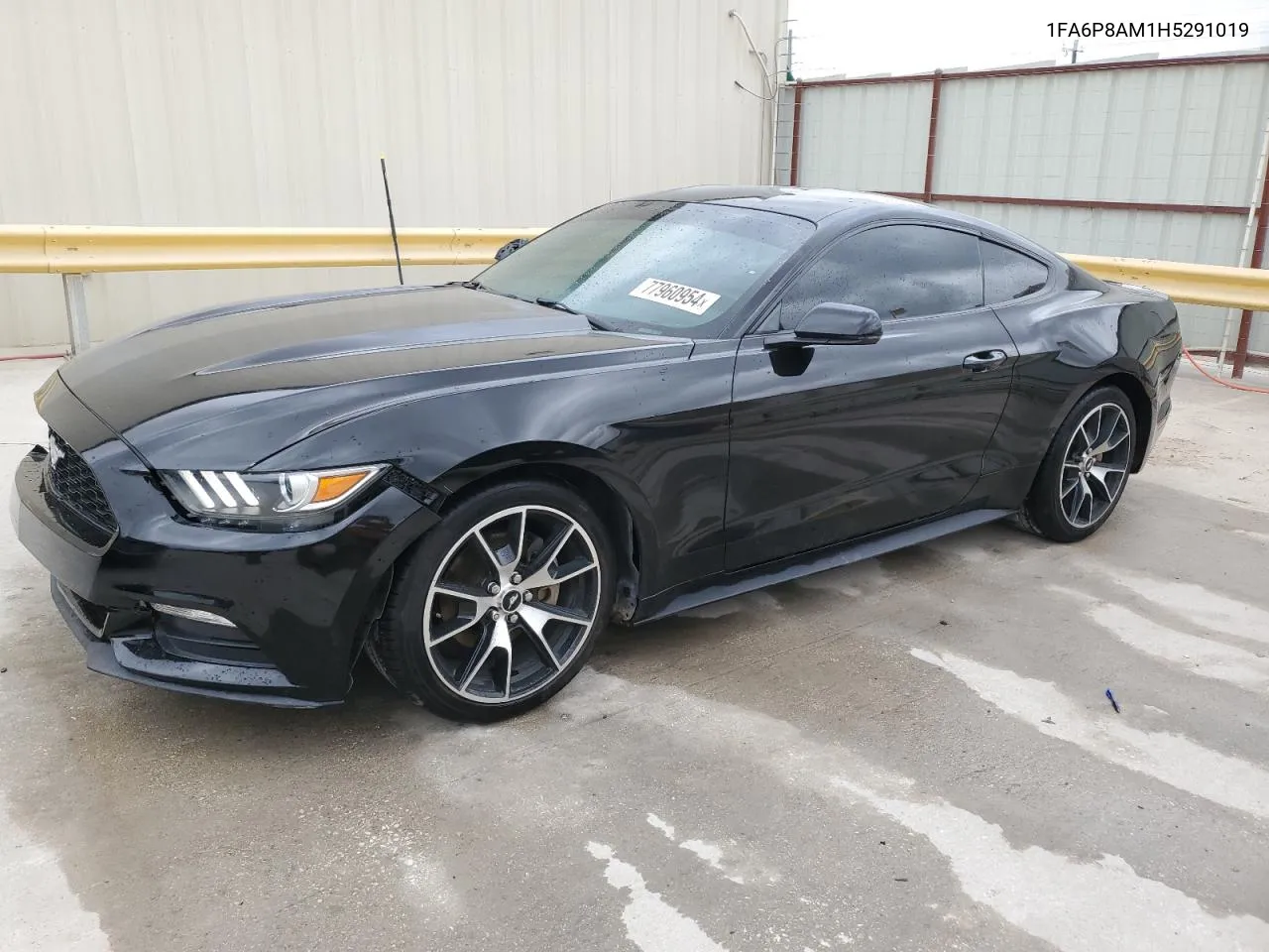 2017 Ford Mustang VIN: 1FA6P8AM1H5291019 Lot: 77960954