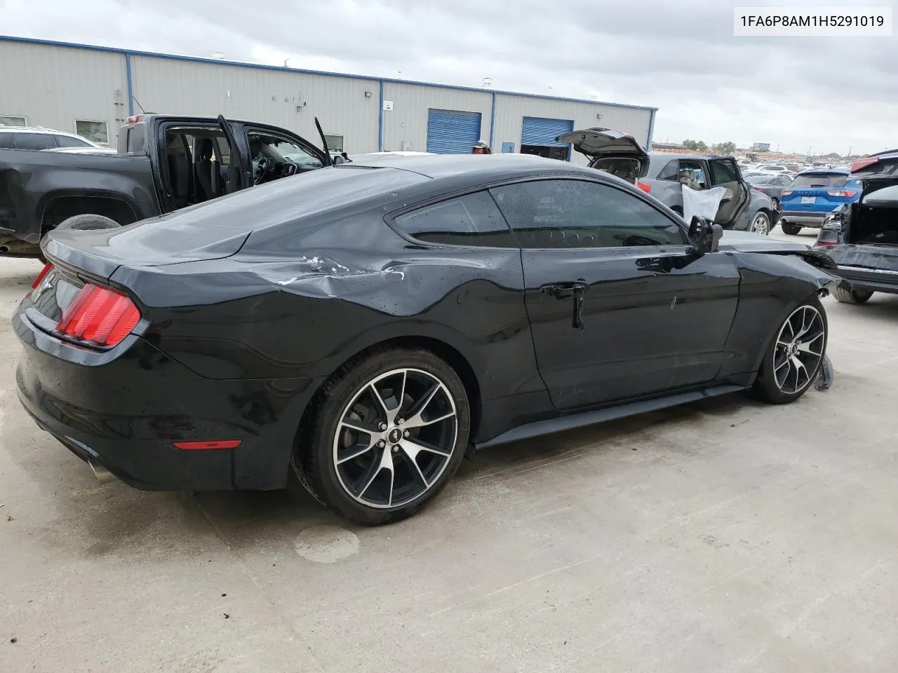 2017 Ford Mustang VIN: 1FA6P8AM1H5291019 Lot: 77960954