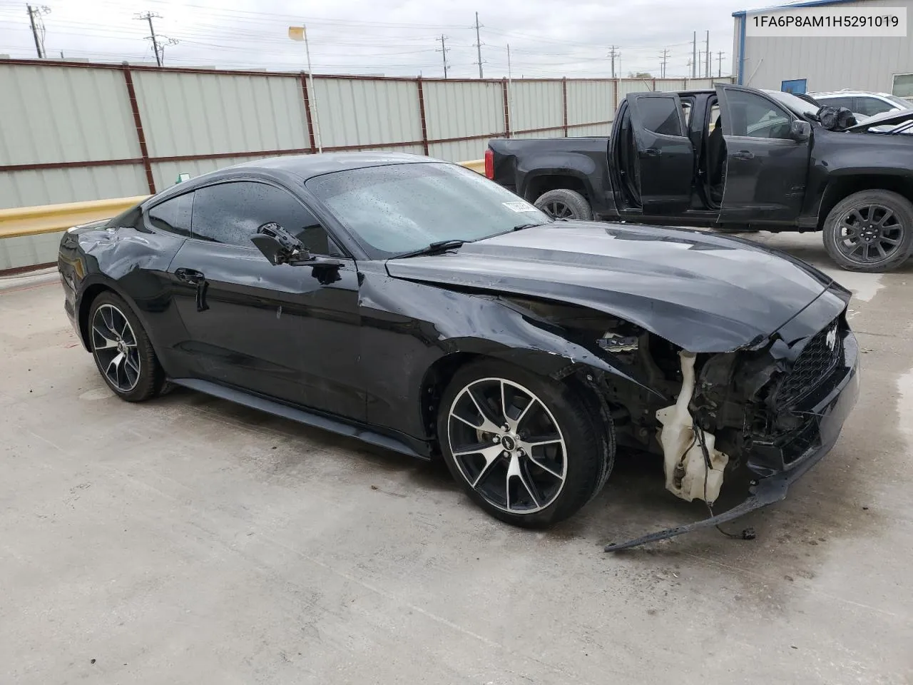 2017 Ford Mustang VIN: 1FA6P8AM1H5291019 Lot: 77960954