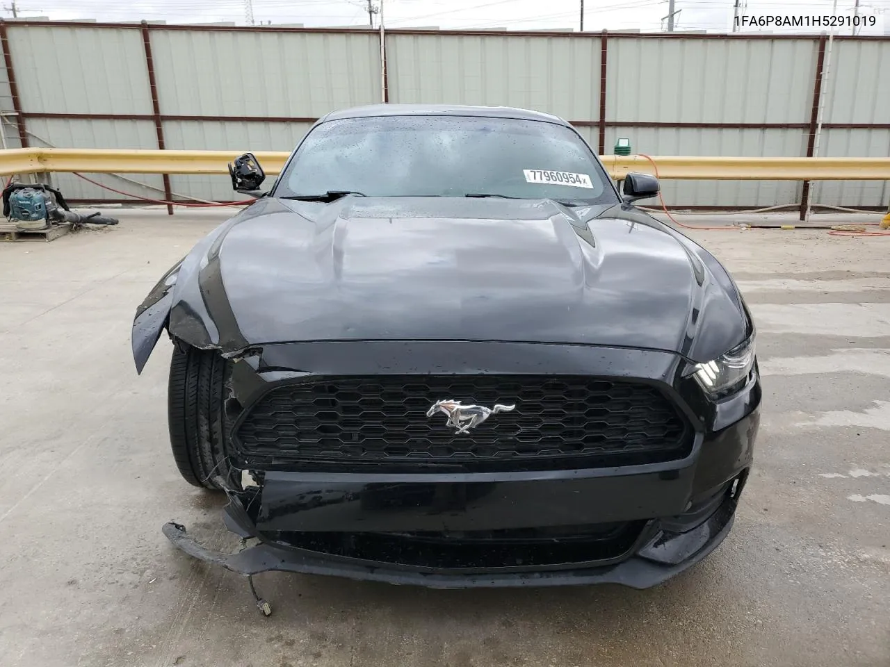 2017 Ford Mustang VIN: 1FA6P8AM1H5291019 Lot: 77960954