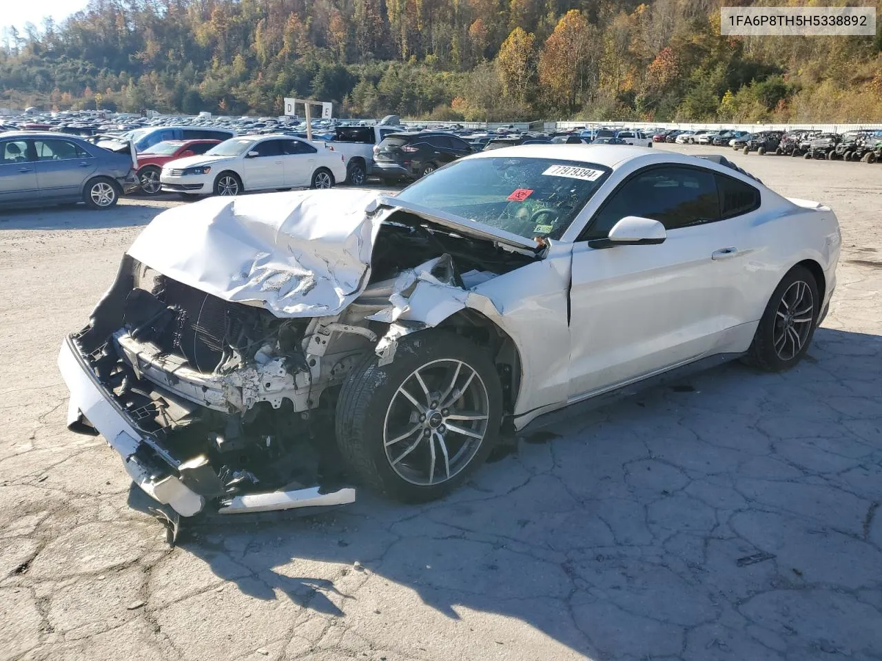 2017 Ford Mustang VIN: 1FA6P8TH5H5338892 Lot: 77979394