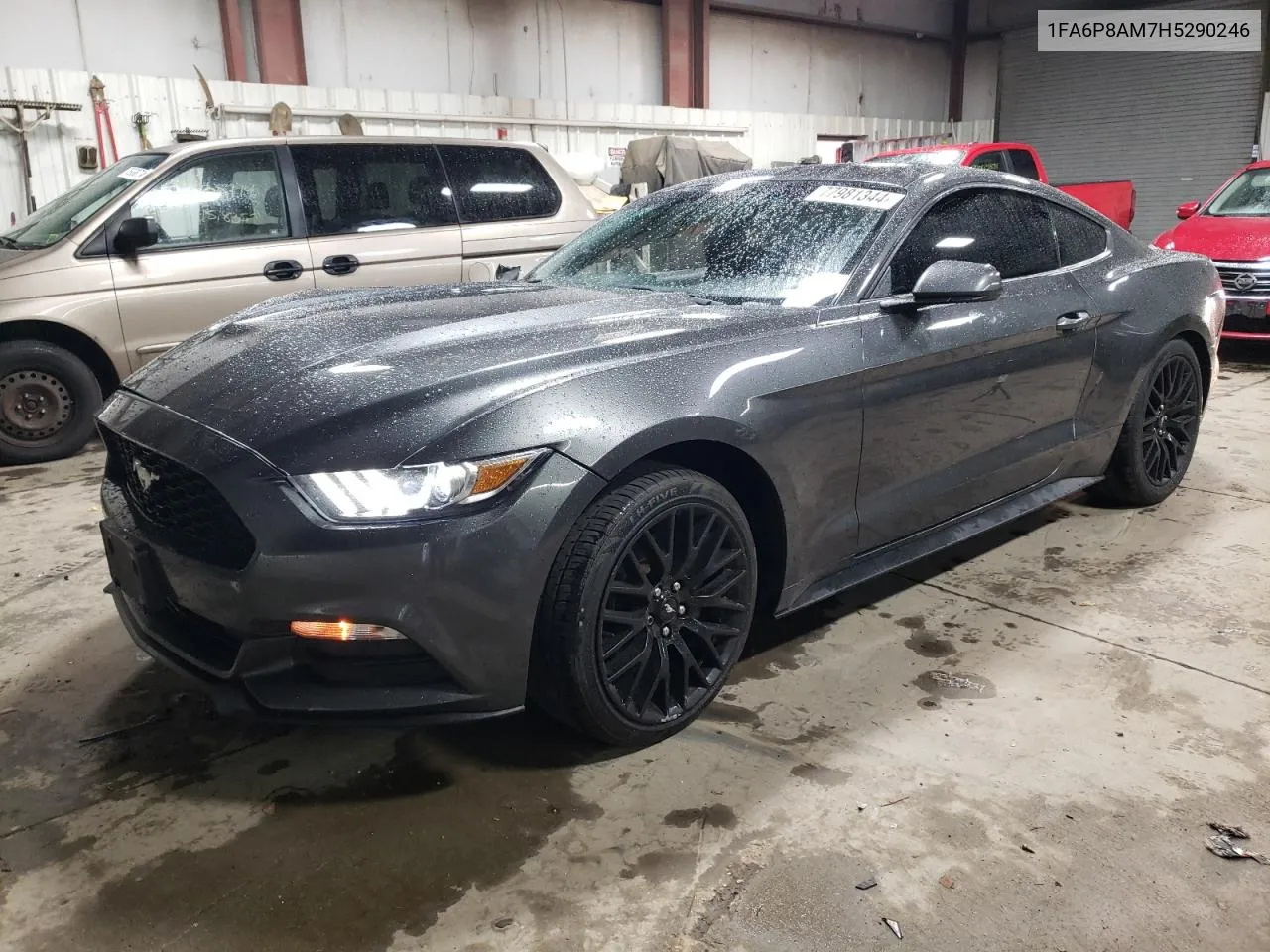 2017 Ford Mustang VIN: 1FA6P8AM7H5290246 Lot: 77981344