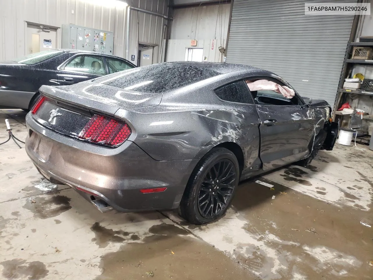 2017 Ford Mustang VIN: 1FA6P8AM7H5290246 Lot: 77981344