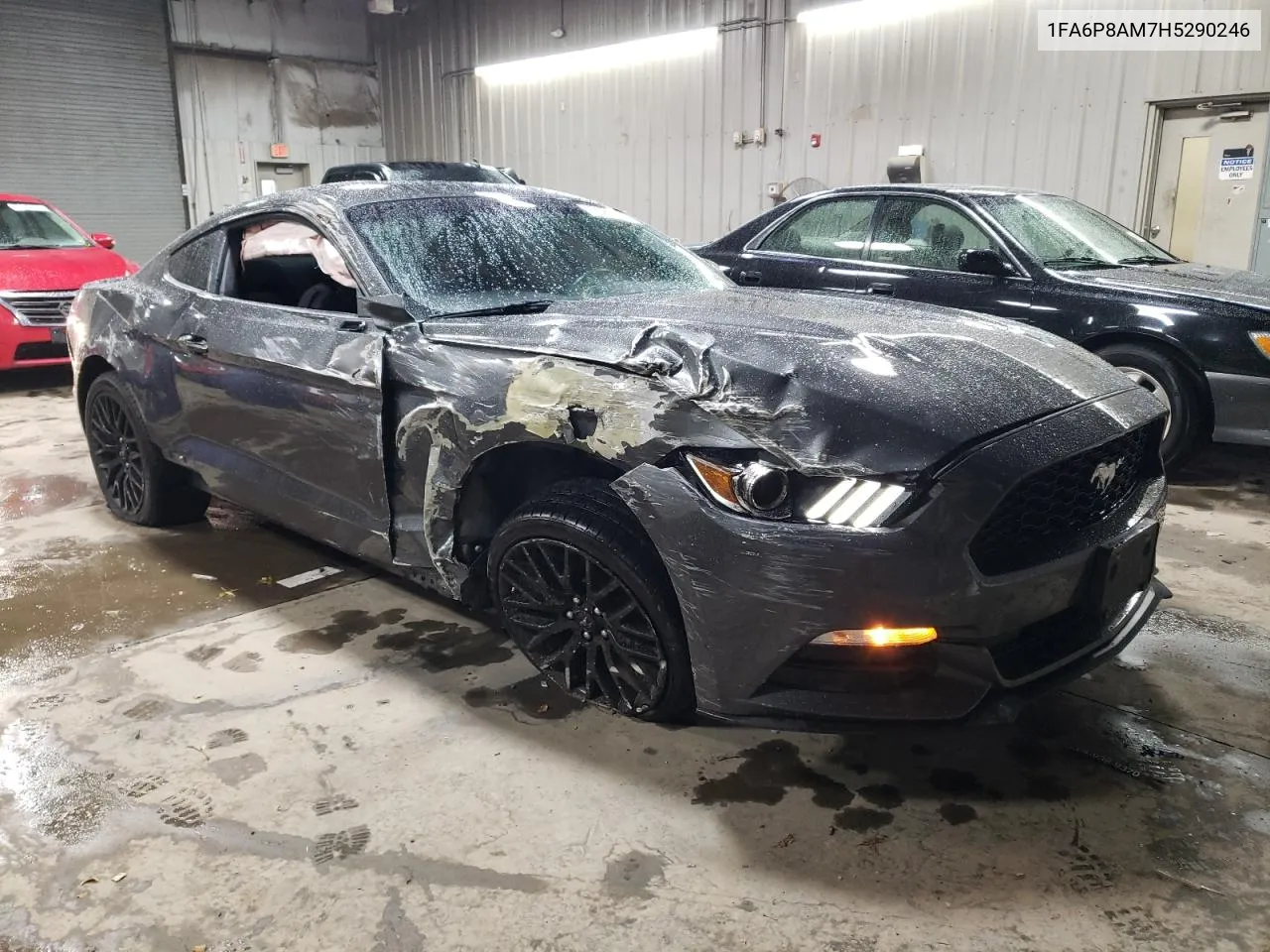 2017 Ford Mustang VIN: 1FA6P8AM7H5290246 Lot: 77981344