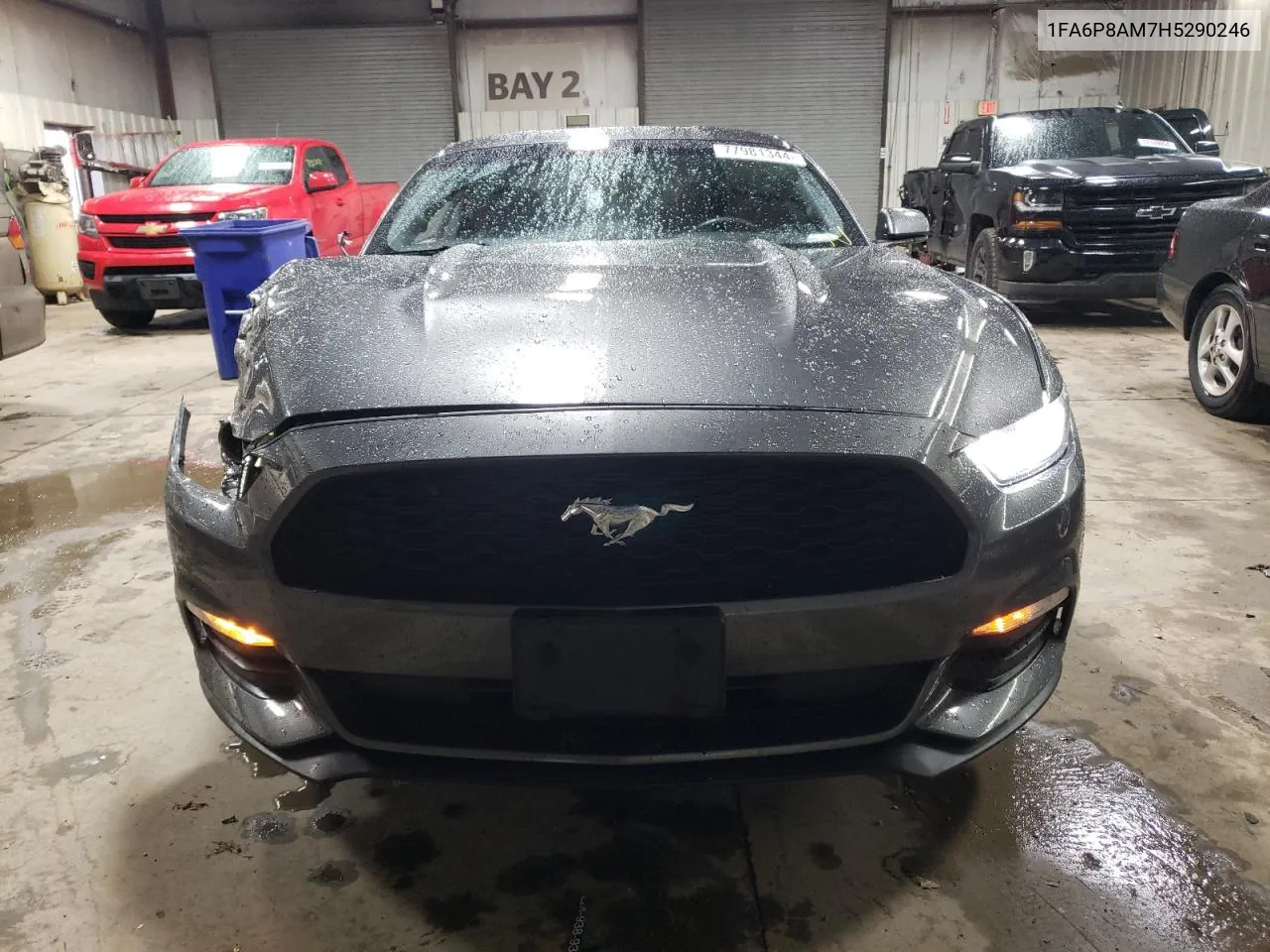 2017 Ford Mustang VIN: 1FA6P8AM7H5290246 Lot: 77981344