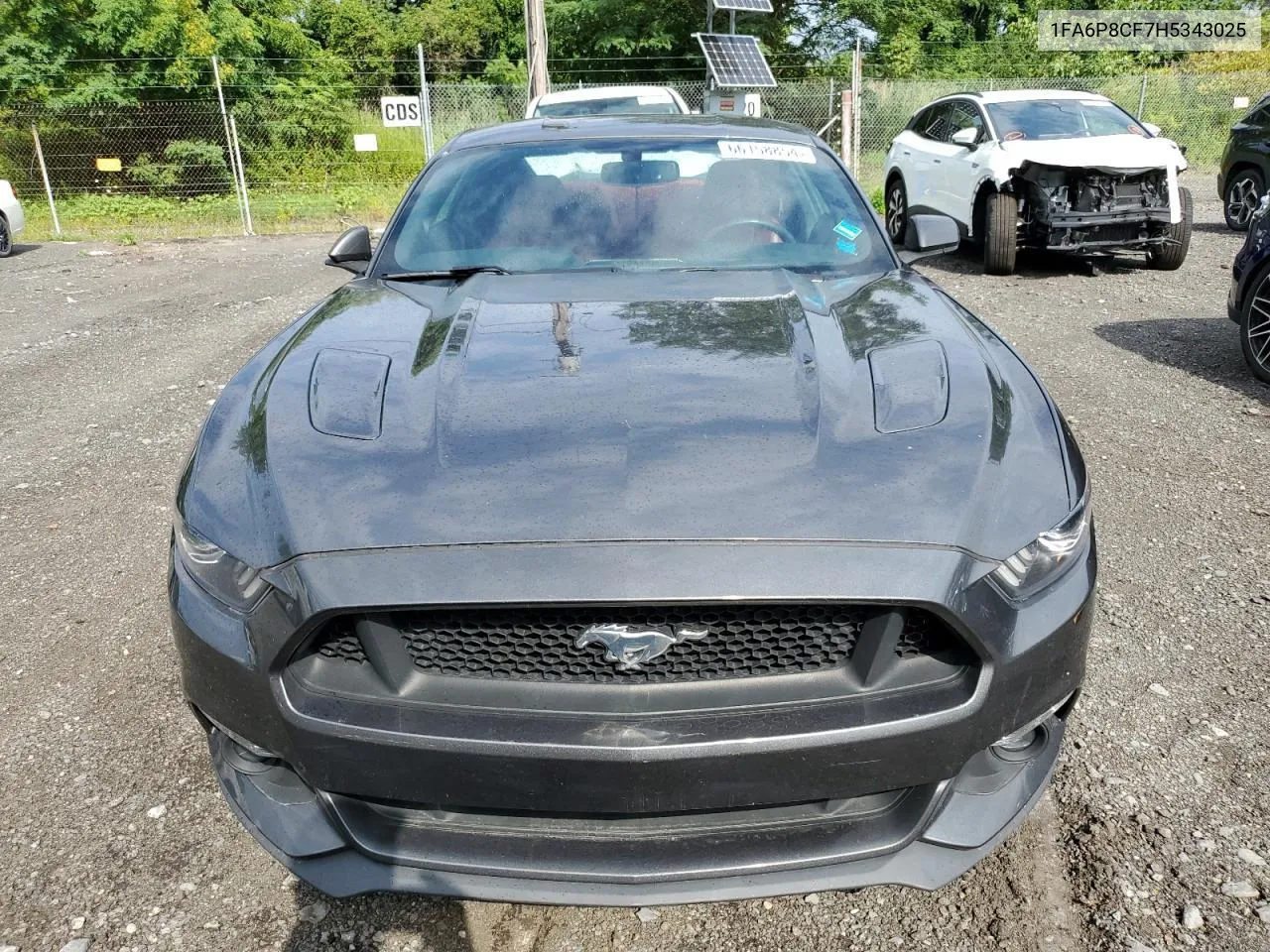 2017 Ford Mustang Gt VIN: 1FA6P8CF7H5343025 Lot: 78399824