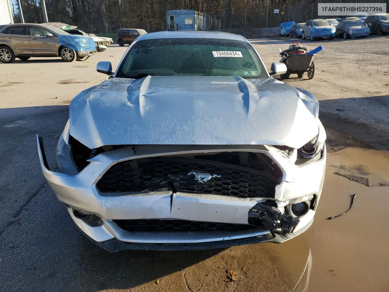 2017 Ford Mustang VIN: 1FA6P8TH8H5227396 Lot: 78460434