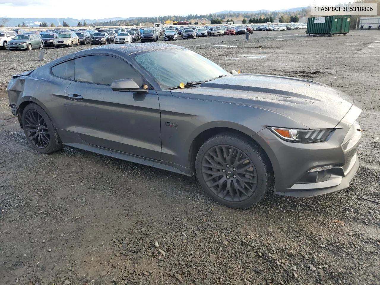 2017 Ford Mustang Gt VIN: 1FA6P8CF3H5318896 Lot: 78882374