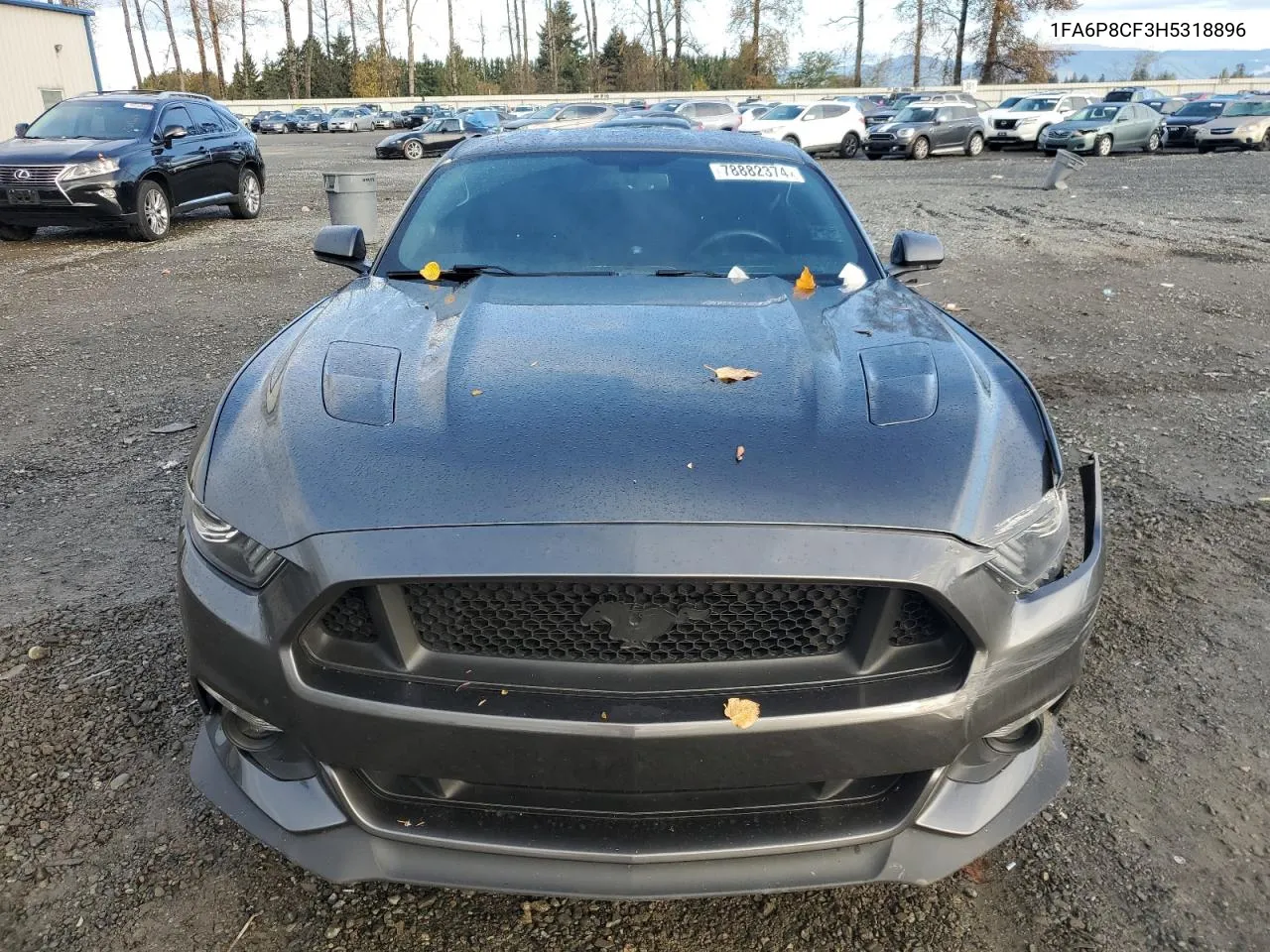 2017 Ford Mustang Gt VIN: 1FA6P8CF3H5318896 Lot: 78882374