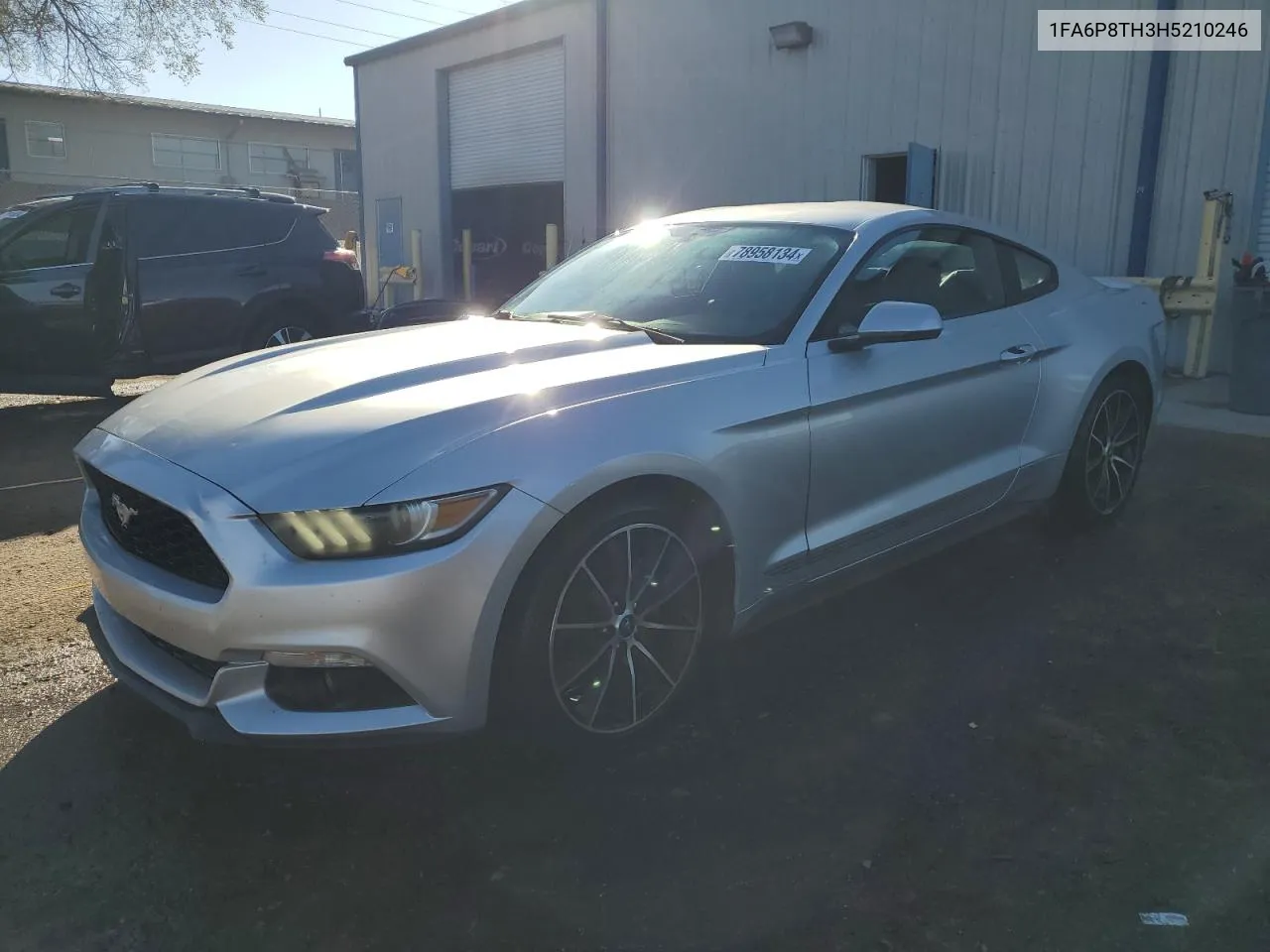 2017 Ford Mustang VIN: 1FA6P8TH3H5210246 Lot: 78958134