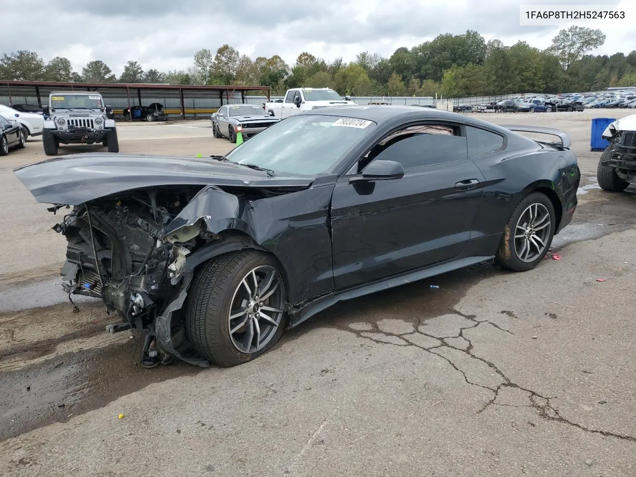 2017 Ford Mustang VIN: 1FA6P8TH2H5247563 Lot: 79030724