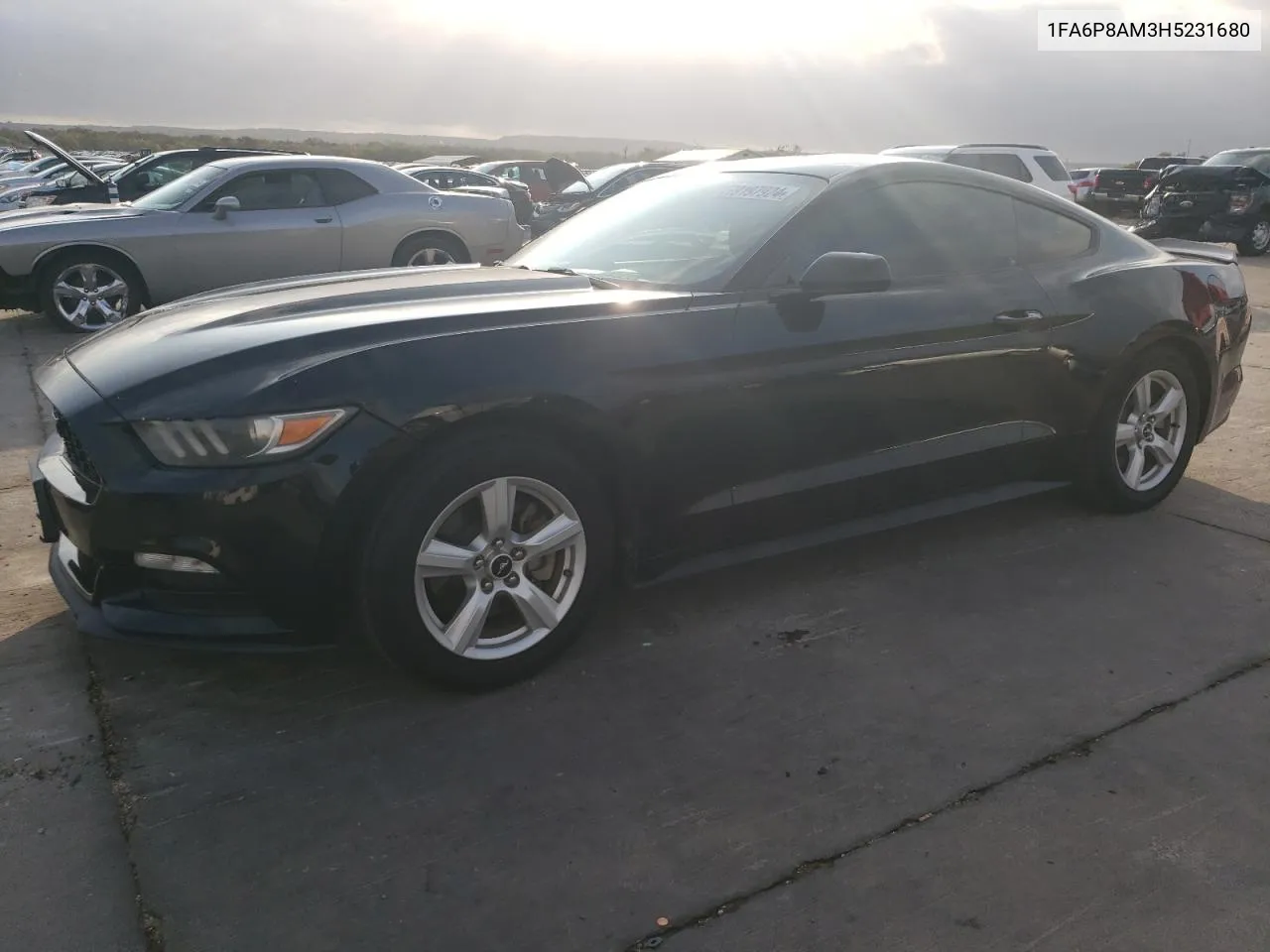 2017 Ford Mustang VIN: 1FA6P8AM3H5231680 Lot: 79197924