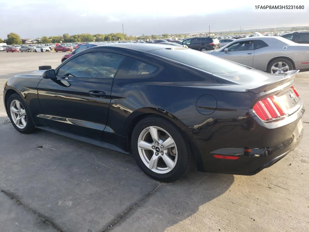 2017 Ford Mustang VIN: 1FA6P8AM3H5231680 Lot: 79197924