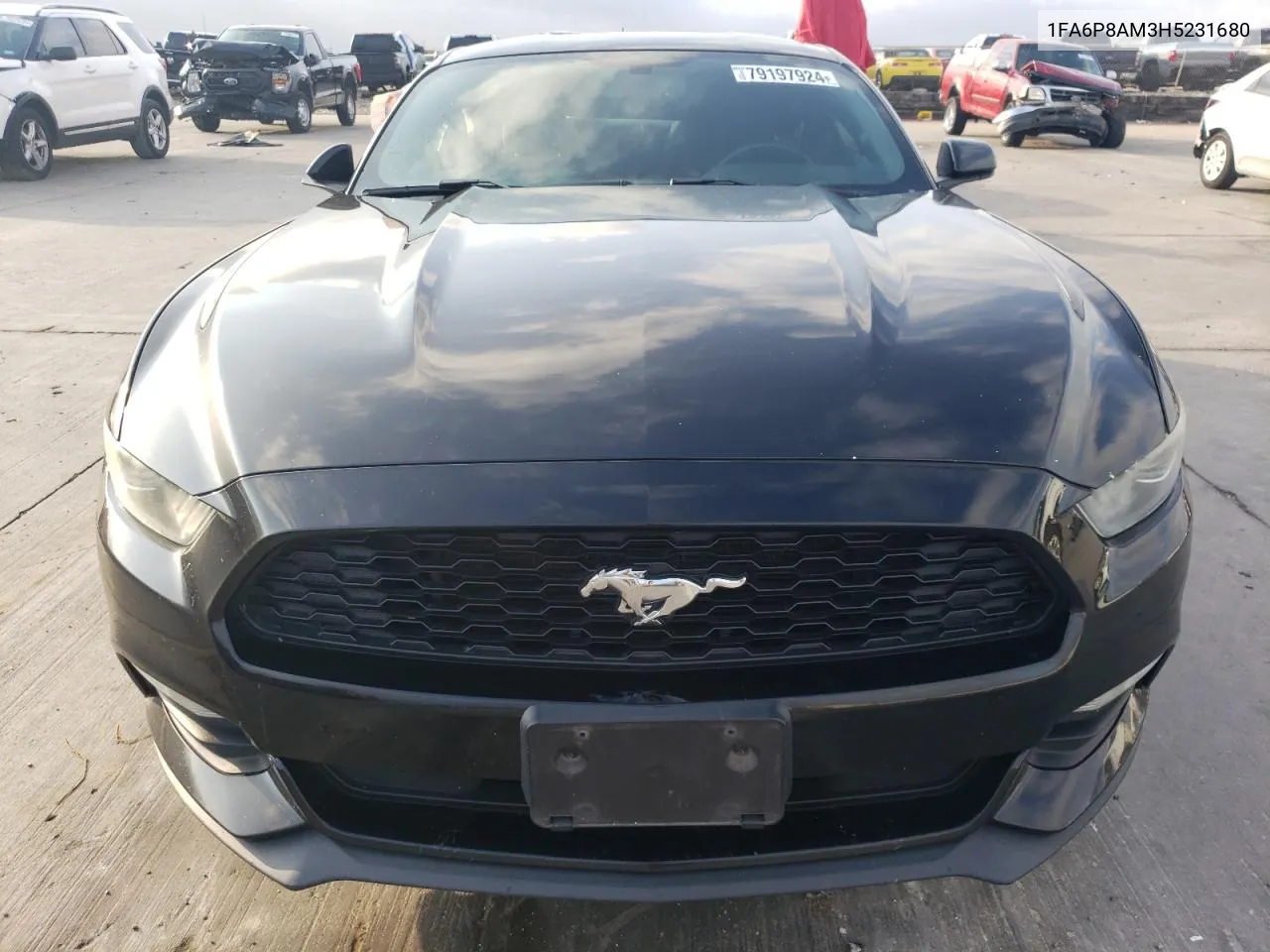 2017 Ford Mustang VIN: 1FA6P8AM3H5231680 Lot: 79197924