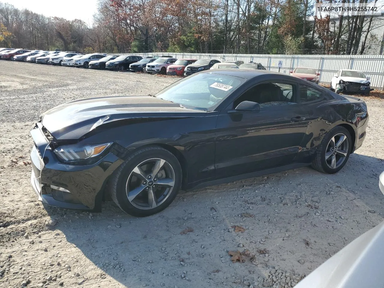 1FA6P8TH9H5255742 2017 Ford Mustang