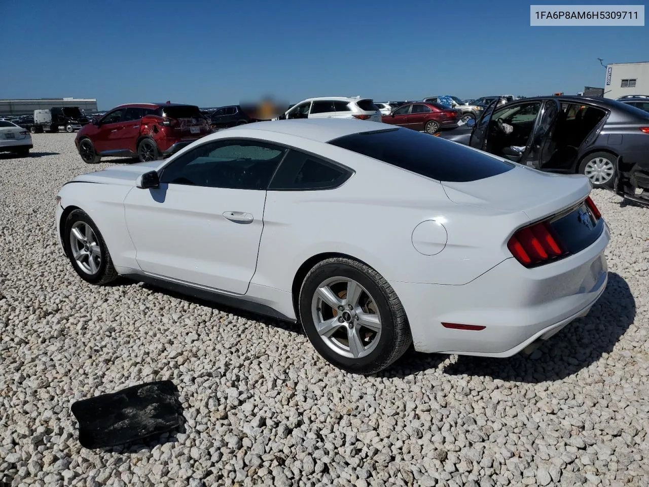 2017 Ford Mustang VIN: 1FA6P8AM6H5309711 Lot: 79714094