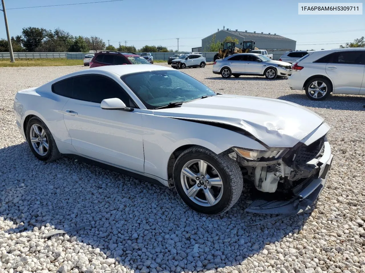 2017 Ford Mustang VIN: 1FA6P8AM6H5309711 Lot: 79714094