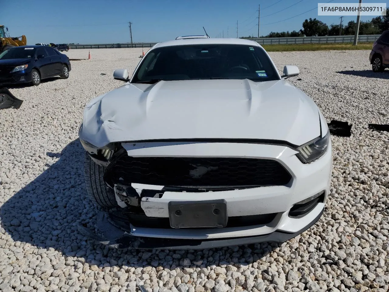 2017 Ford Mustang VIN: 1FA6P8AM6H5309711 Lot: 79714094