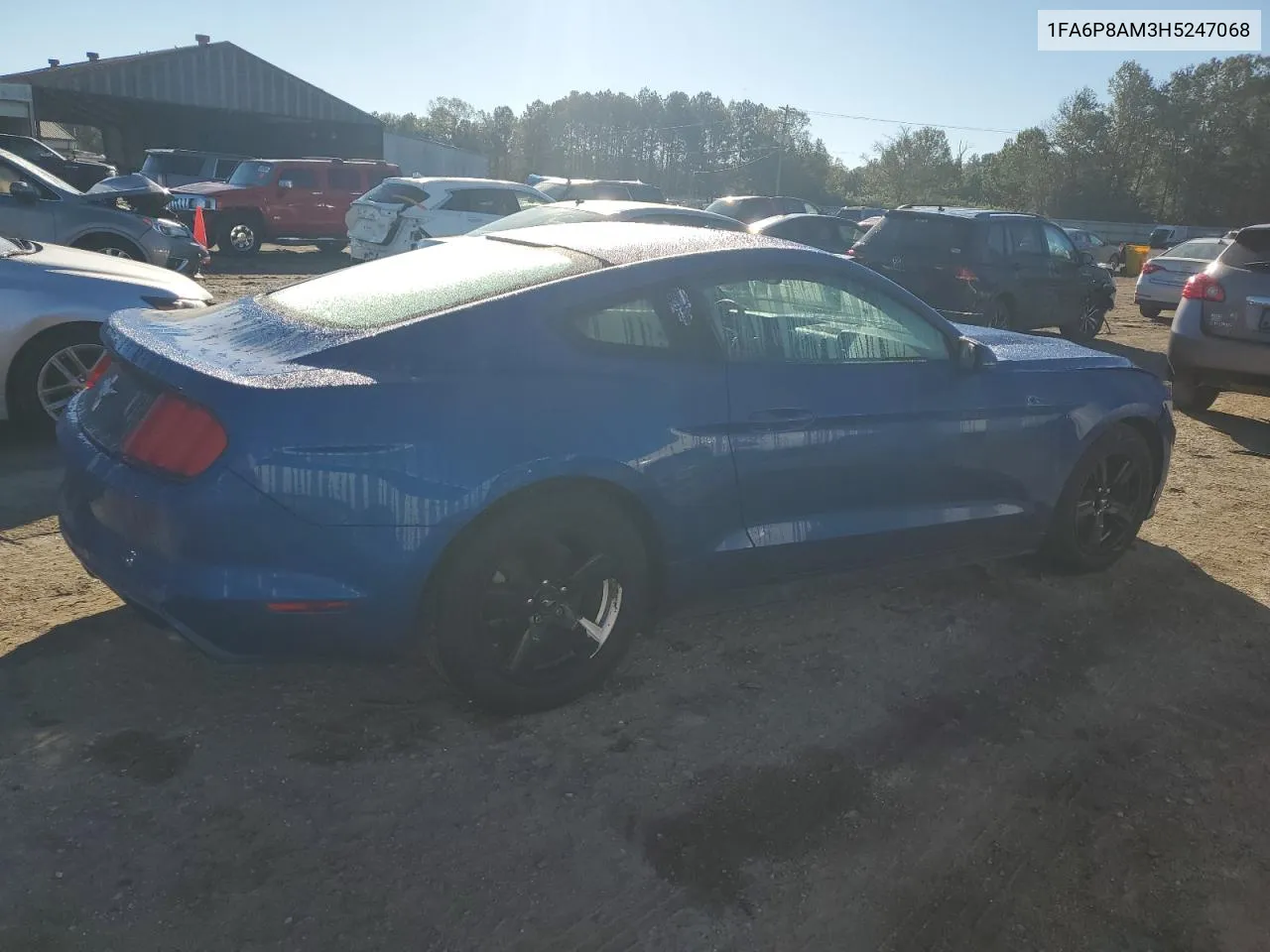 2017 Ford Mustang VIN: 1FA6P8AM3H5247068 Lot: 80194374