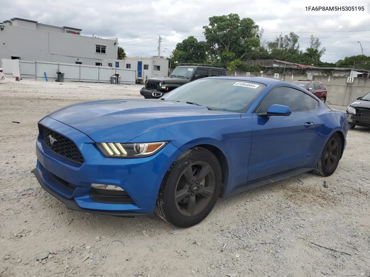 2017 Ford Mustang VIN: 1FA6P8AM5H5305195 Lot: 81063564