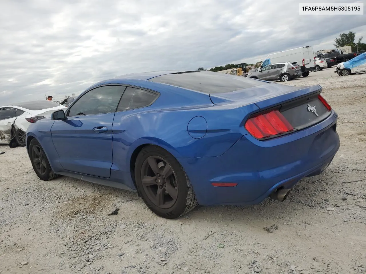 2017 Ford Mustang VIN: 1FA6P8AM5H5305195 Lot: 81063564