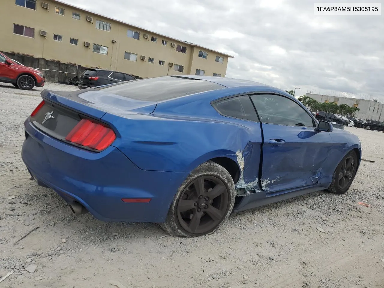 2017 Ford Mustang VIN: 1FA6P8AM5H5305195 Lot: 81063564