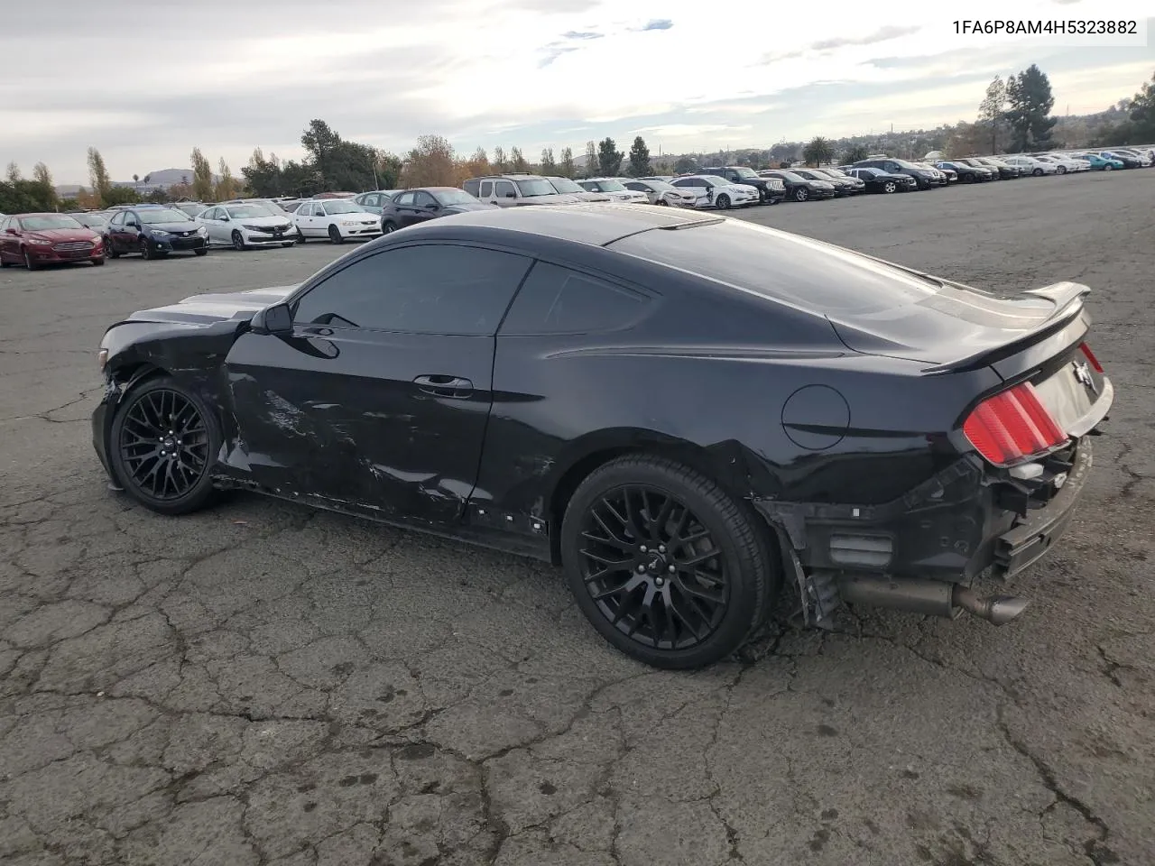 2017 Ford Mustang VIN: 1FA6P8AM4H5323882 Lot: 81540924