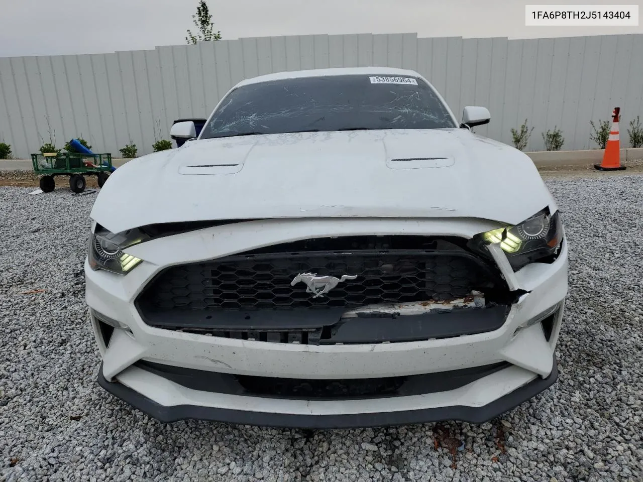 2018 Ford Mustang VIN: 1FA6P8TH2J5143404 Lot: 53856964