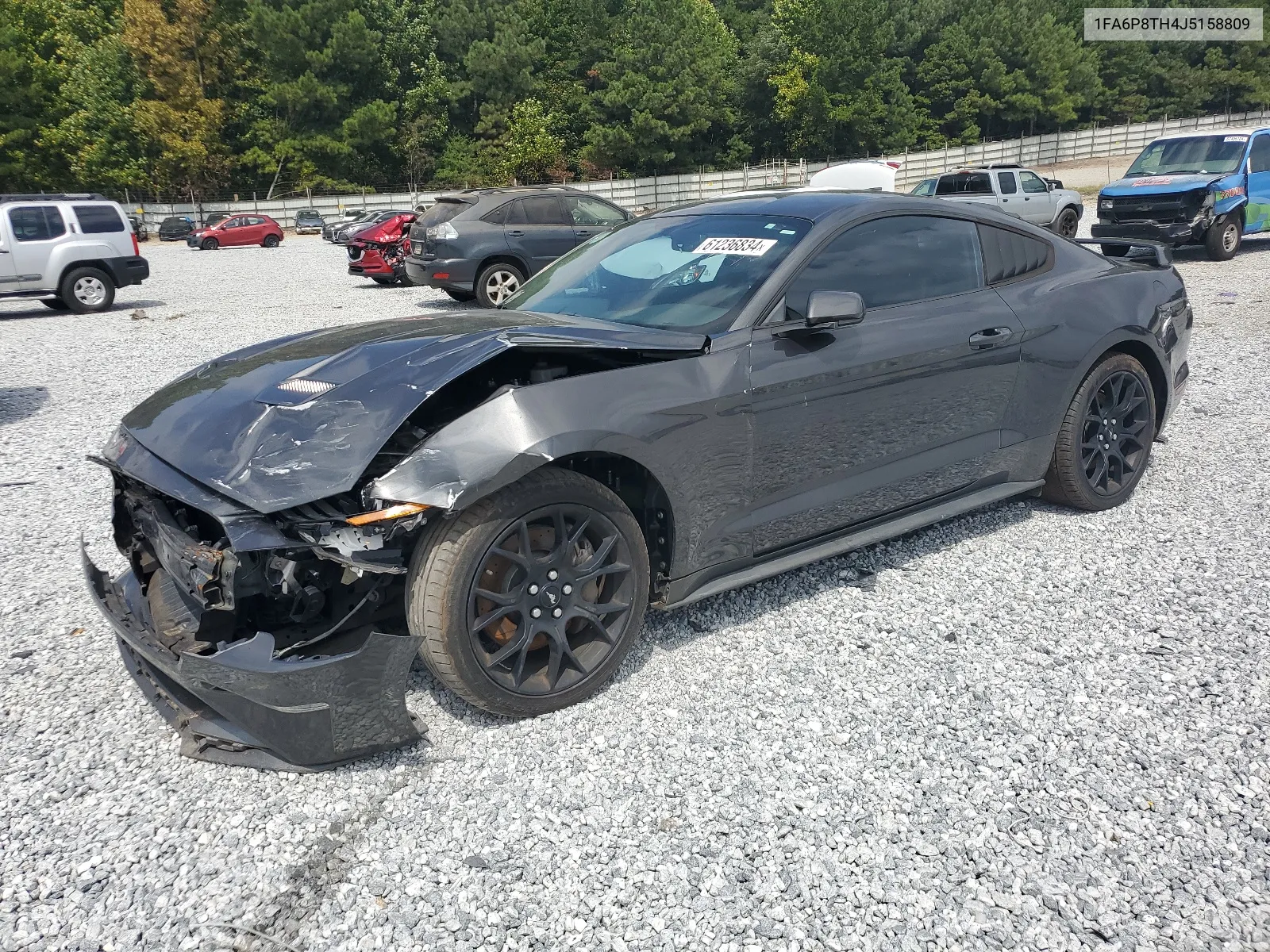 2018 Ford Mustang VIN: 1FA6P8TH4J5158809 Lot: 61236834