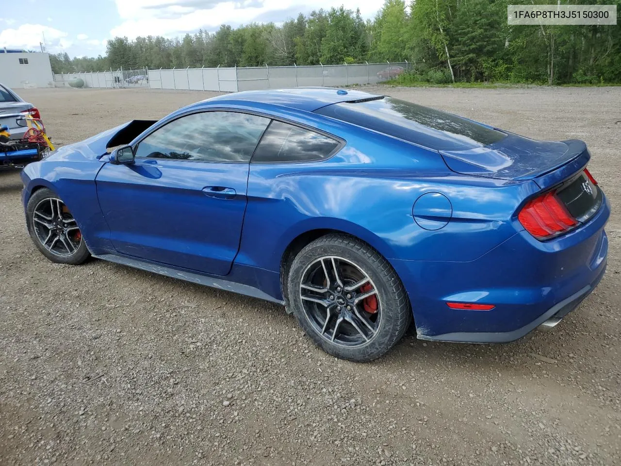 2018 Ford Mustang VIN: 1FA6P8TH3J5150300 Lot: 62628174