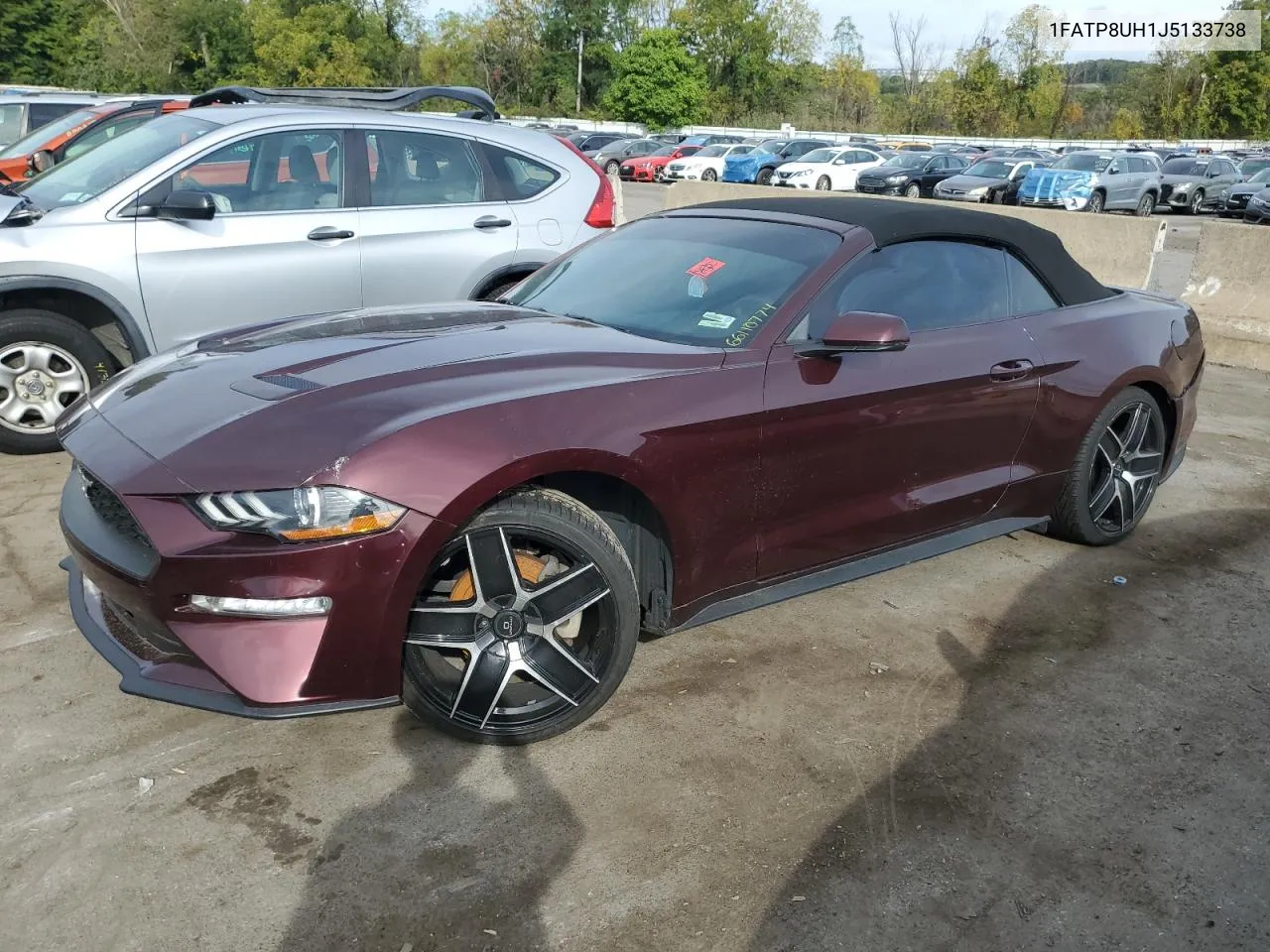 2018 Ford Mustang VIN: 1FATP8UH1J5133738 Lot: 66110774