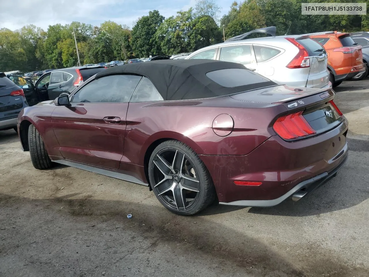 2018 Ford Mustang VIN: 1FATP8UH1J5133738 Lot: 66110774