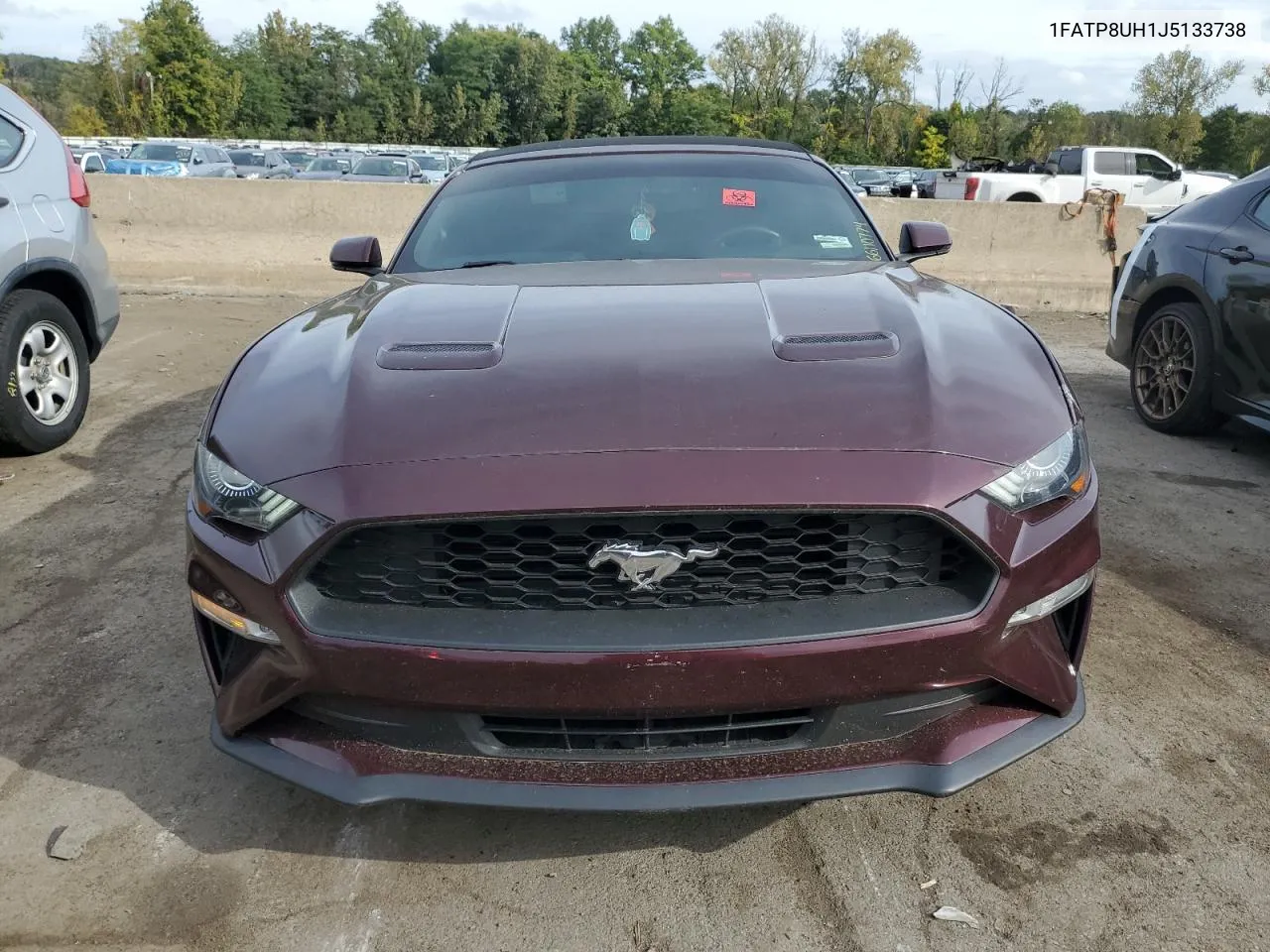 2018 Ford Mustang VIN: 1FATP8UH1J5133738 Lot: 66110774