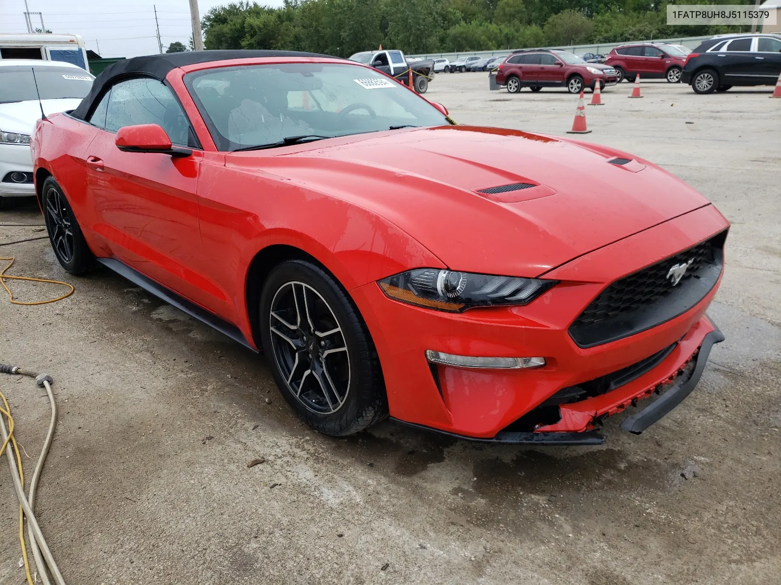 2018 Ford Mustang VIN: 1FATP8UH8J5115379 Lot: 66882594