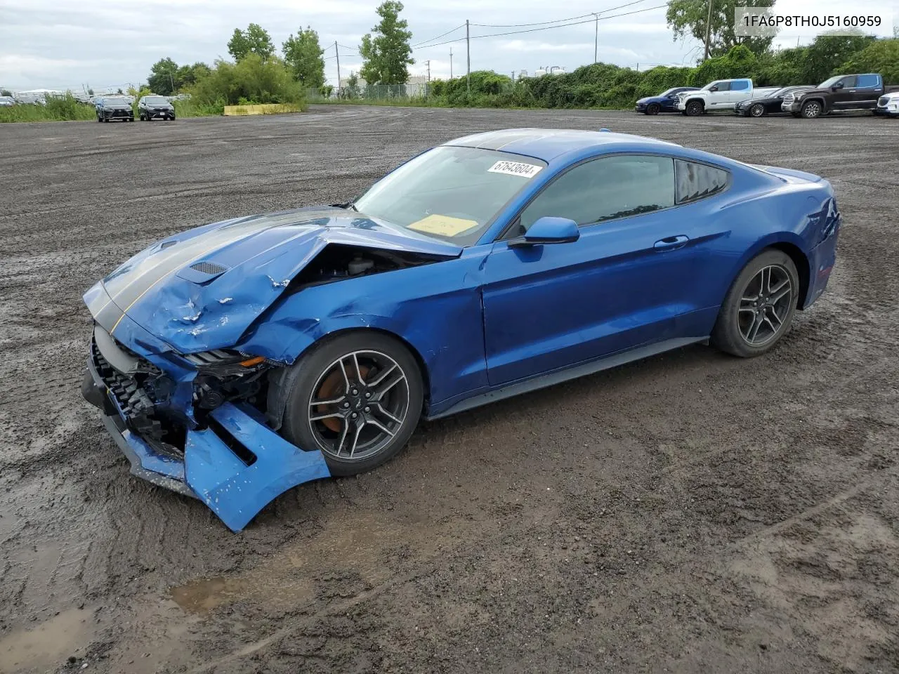 2018 Ford Mustang VIN: 1FA6P8TH0J5160959 Lot: 67643604