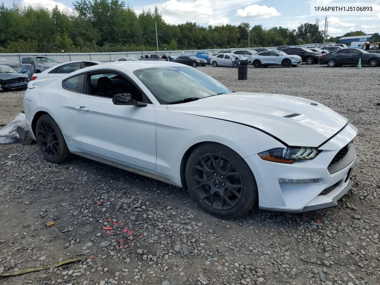 2018 Ford Mustang VIN: 1FA6P8TH1J5106893 Lot: 73021934