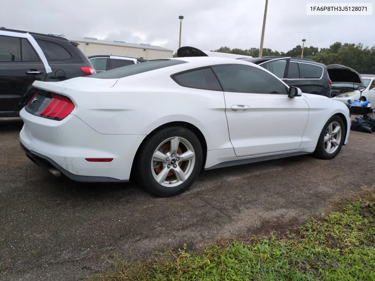 2018 Ford Mustang VIN: 1FA6P8TH3J5128071 Lot: 75095564