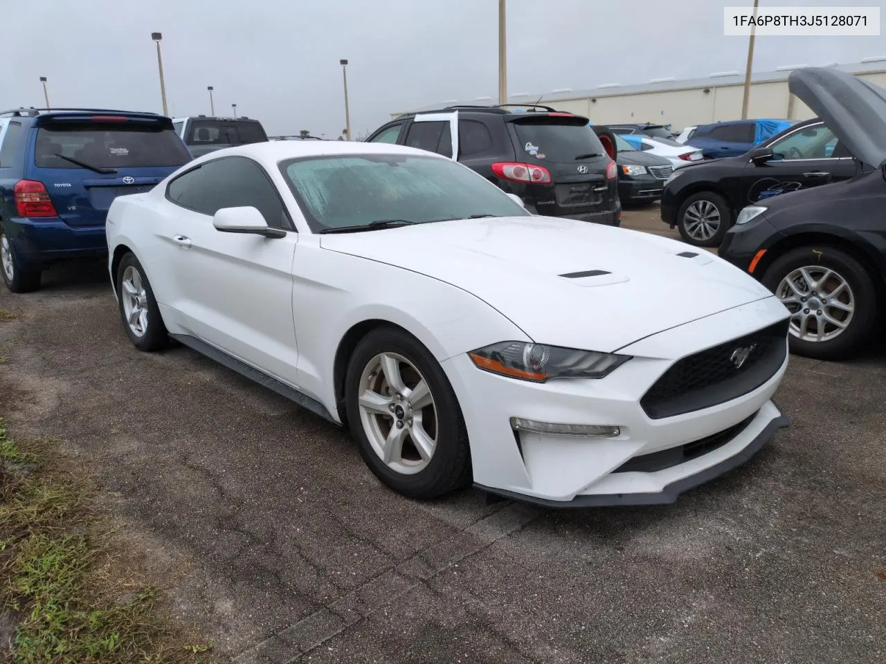 2018 Ford Mustang VIN: 1FA6P8TH3J5128071 Lot: 75095564