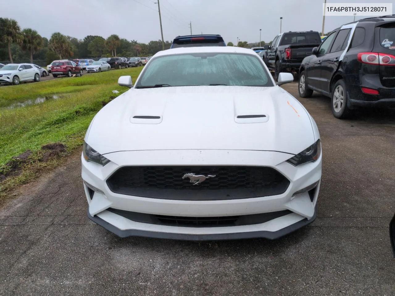 2018 Ford Mustang VIN: 1FA6P8TH3J5128071 Lot: 75095564