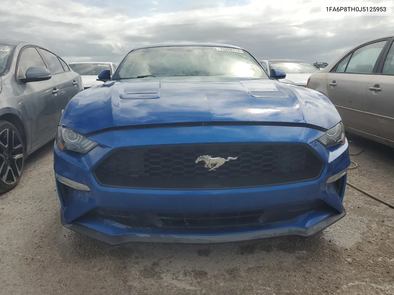 2018 Ford Mustang VIN: 1FA6P8TH0J5125953 Lot: 75328114