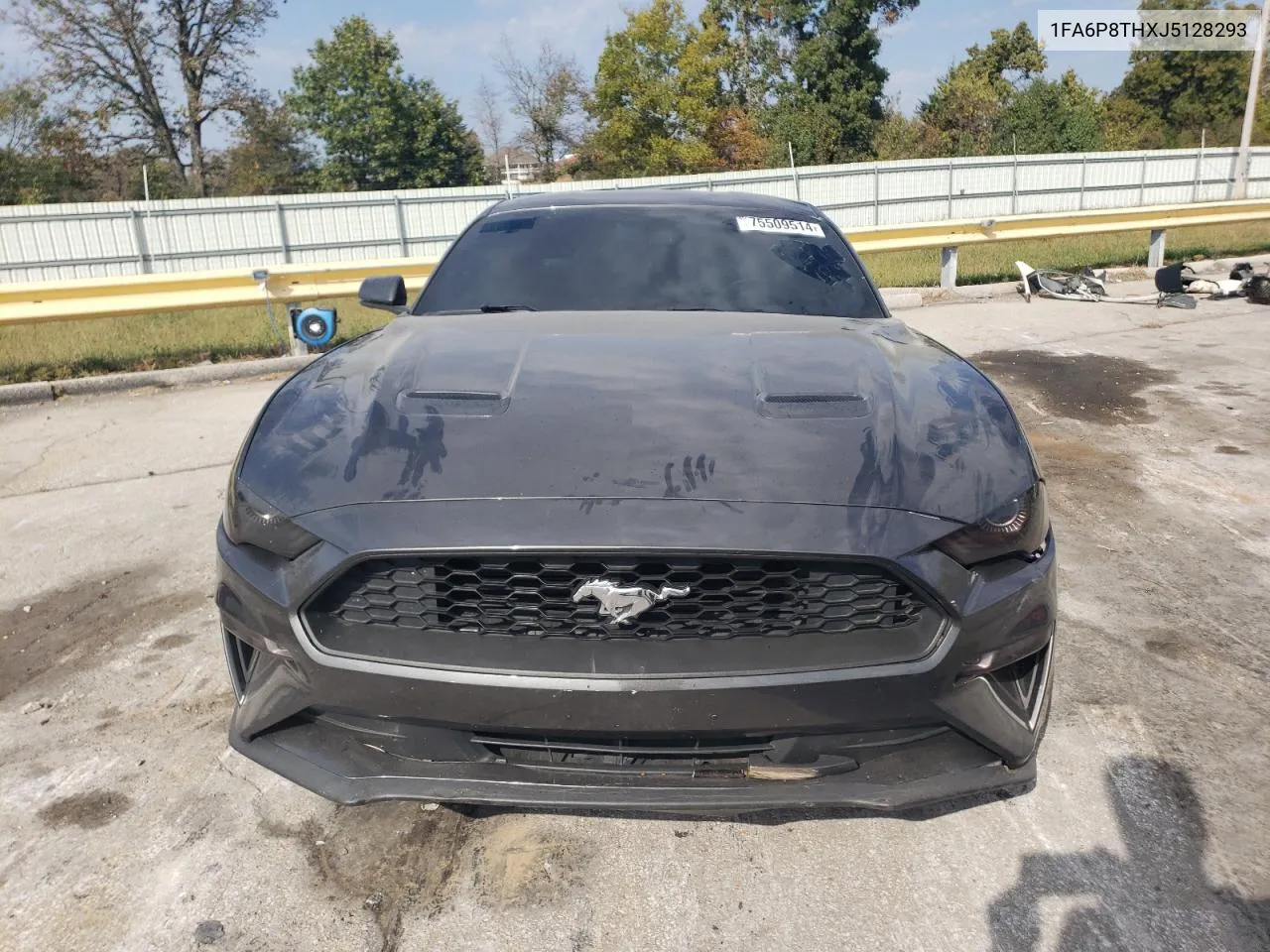 2018 Ford Mustang VIN: 1FA6P8THXJ5128293 Lot: 75509514