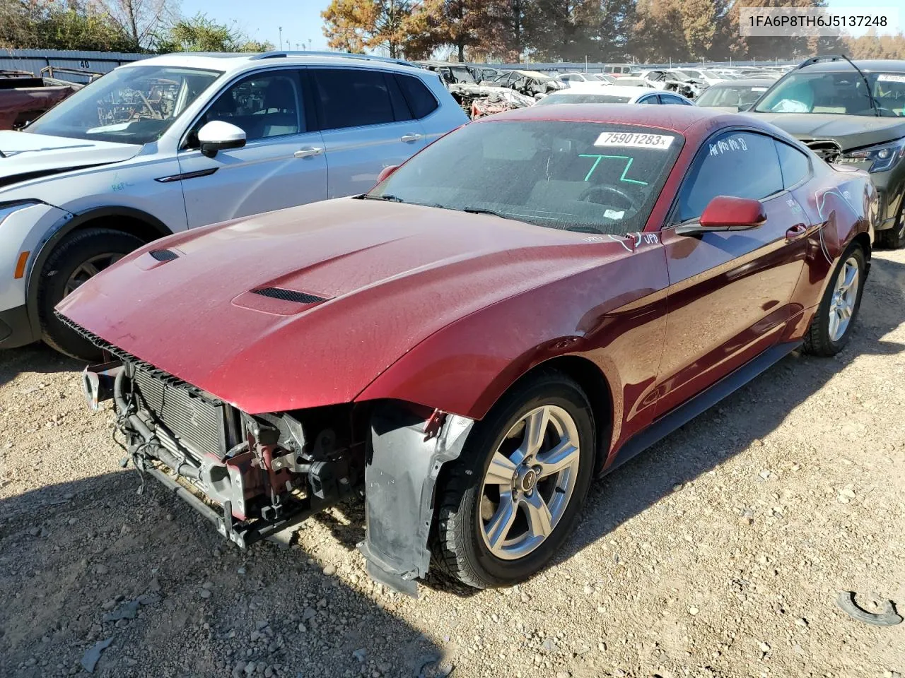 2018 Ford Mustang VIN: 1FA6P8TH6J5137248 Lot: 75901283