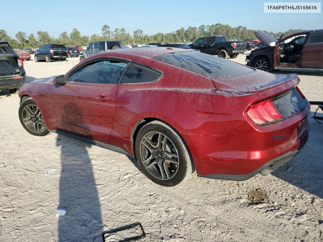 2018 Ford Mustang VIN: 1FA6P8TH6J5165616 Lot: 77112074