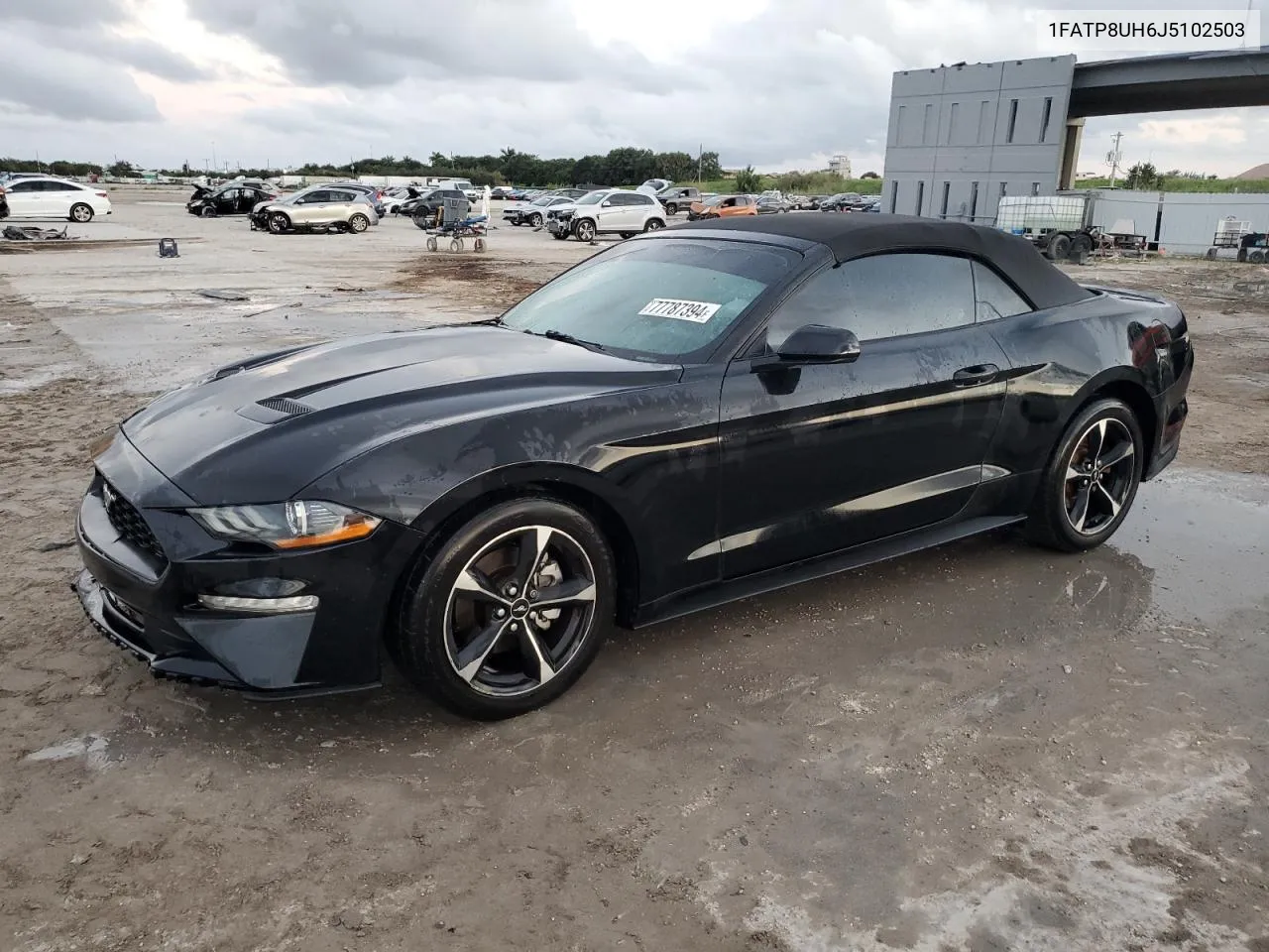 2018 Ford Mustang VIN: 1FATP8UH6J5102503 Lot: 77787394